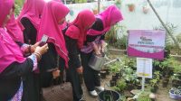 PW IPEMI Sumut Launching Taman Pembibitan Bunga, Sayur dan Buah