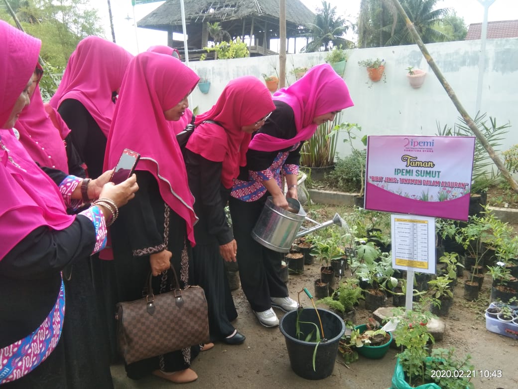 PW IPEMI Sumut Launching Taman Pembibitan Bunga, Sayur dan Buah