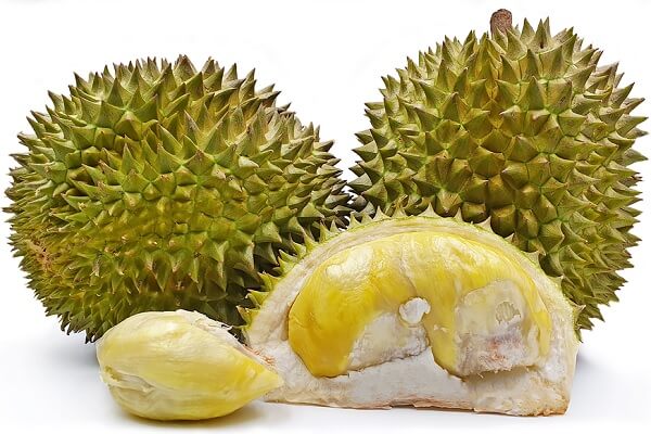 Berbagai Macam Olahan Kuliner dari Durian Medan